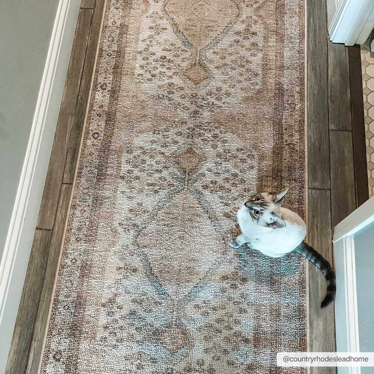 Analu Non-Slip Washable Rug - Image 26