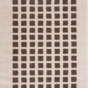 Baback Brown Washable Area Rug