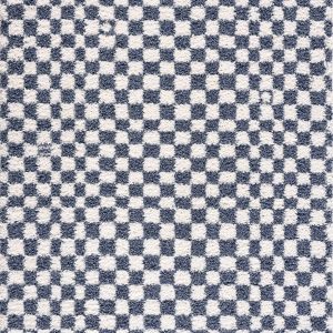 Kieu Blue & White Checkered Area Rug
