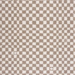 Kieu Taupe Checkered Shag Rug