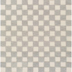 Amparo Medium Gray Area Rug
