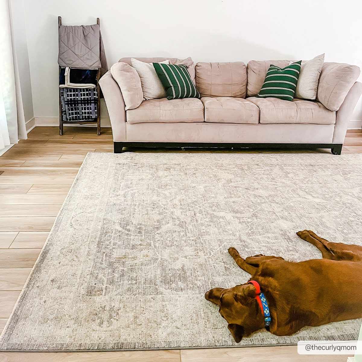 Binx Thick Luxe Statement Rug - Image 2
