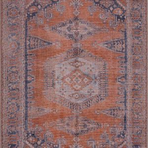 Taber Burnt Orange Persian Style Rug