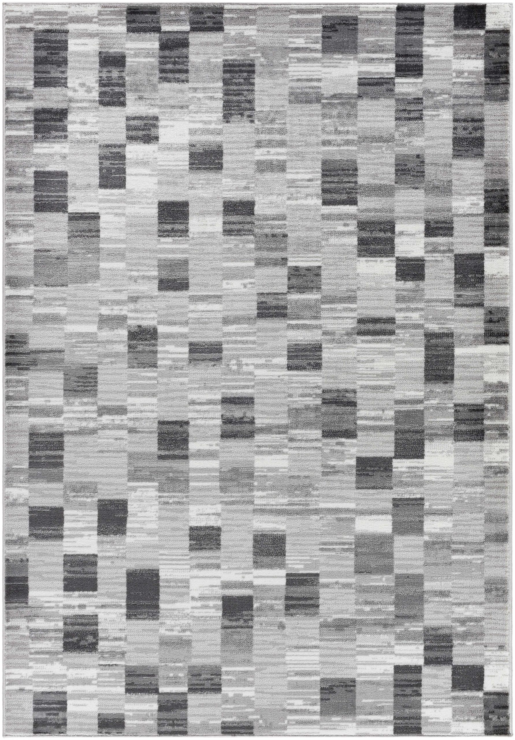 Alagan Medium Gray Area Rug