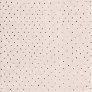 Julie Ivory & Brown Area Rug
