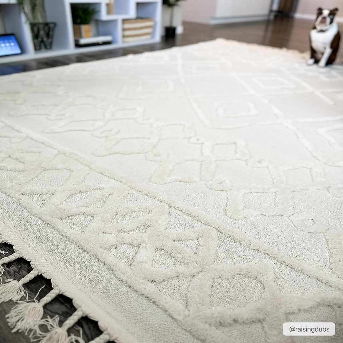 Gyundyukoru Area Rug - Clearance - Image 14