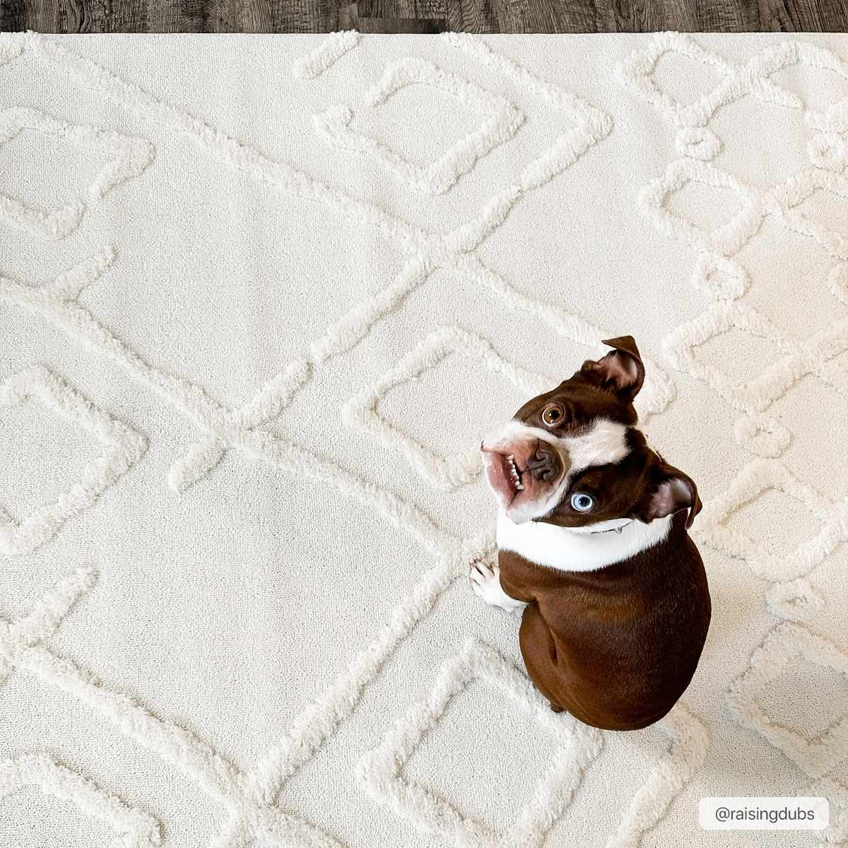 Gyundyukoru Area Rug - Clearance - Image 18