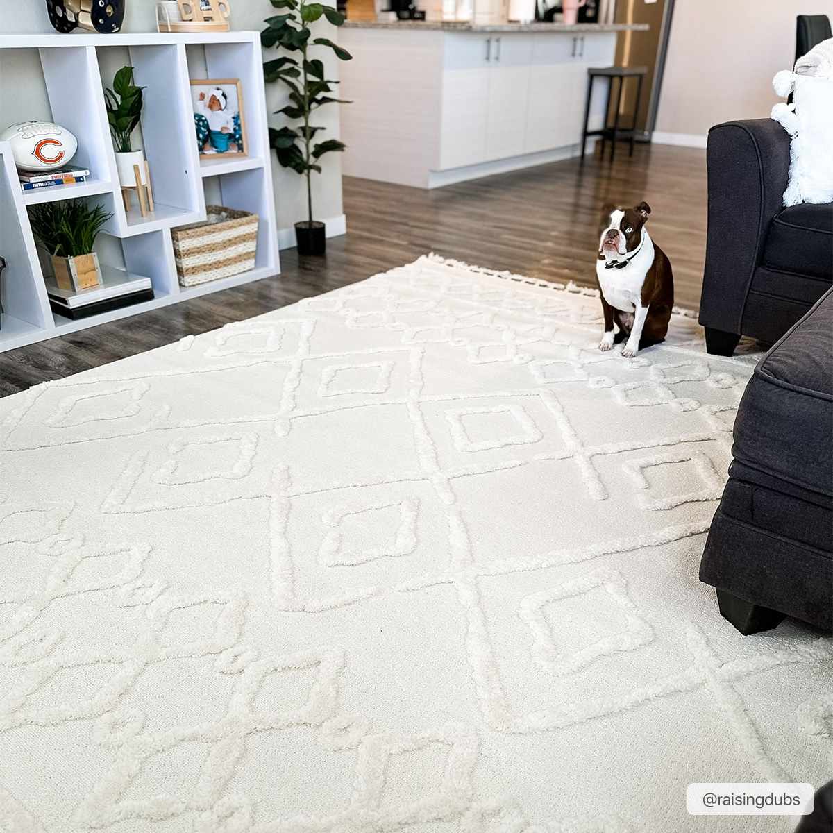 Gyundyukoru Area Rug - Clearance - Image 13