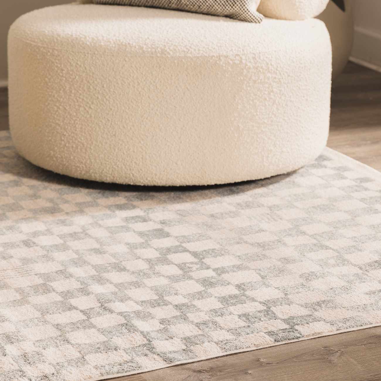 Benjy Cream & Light Blue Checkered Area Rug - Image 13