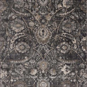 Georgiana Charcoal Area Rug
