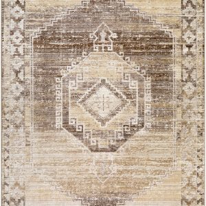 Kailey Light Gray Area Rug