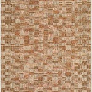 Arshad Burnt Sienna Outdoor Area Rug