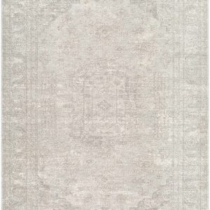 Aithan Light Gray Area Rug