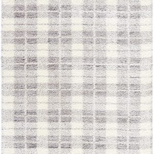 Anfisa Tan Luxe Shag Area Rug