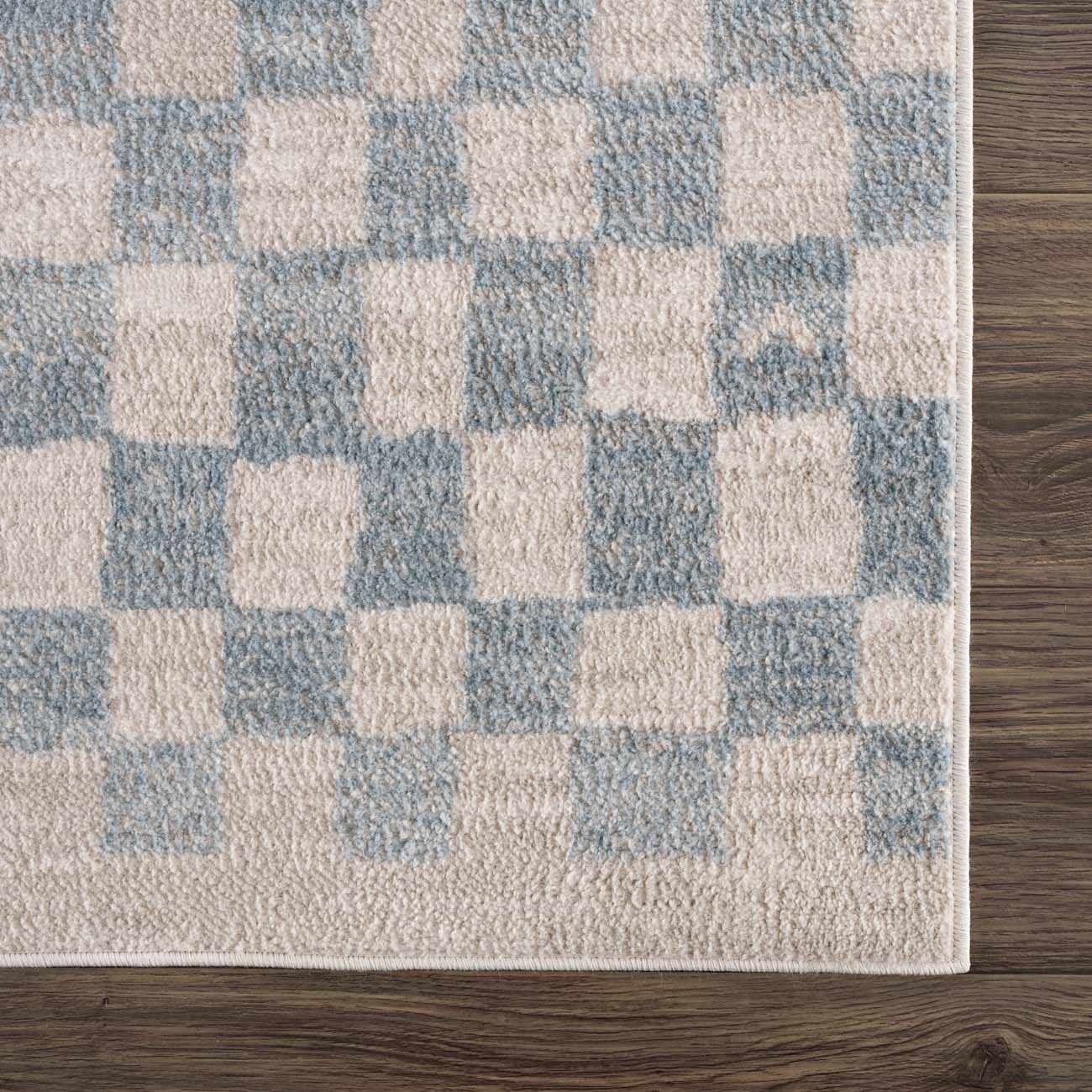 Benjy Cream & Light Blue Checkered Area Rug - Image 9