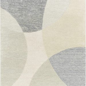Cassiopeia Gray & Beige Area Rug