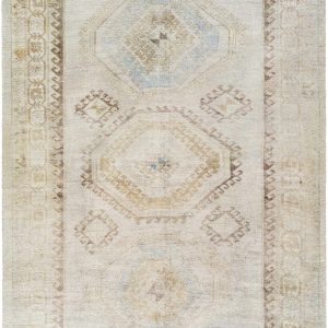 Tarun Area Rug