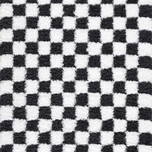 Atira Black & White Checkered Area Rug
