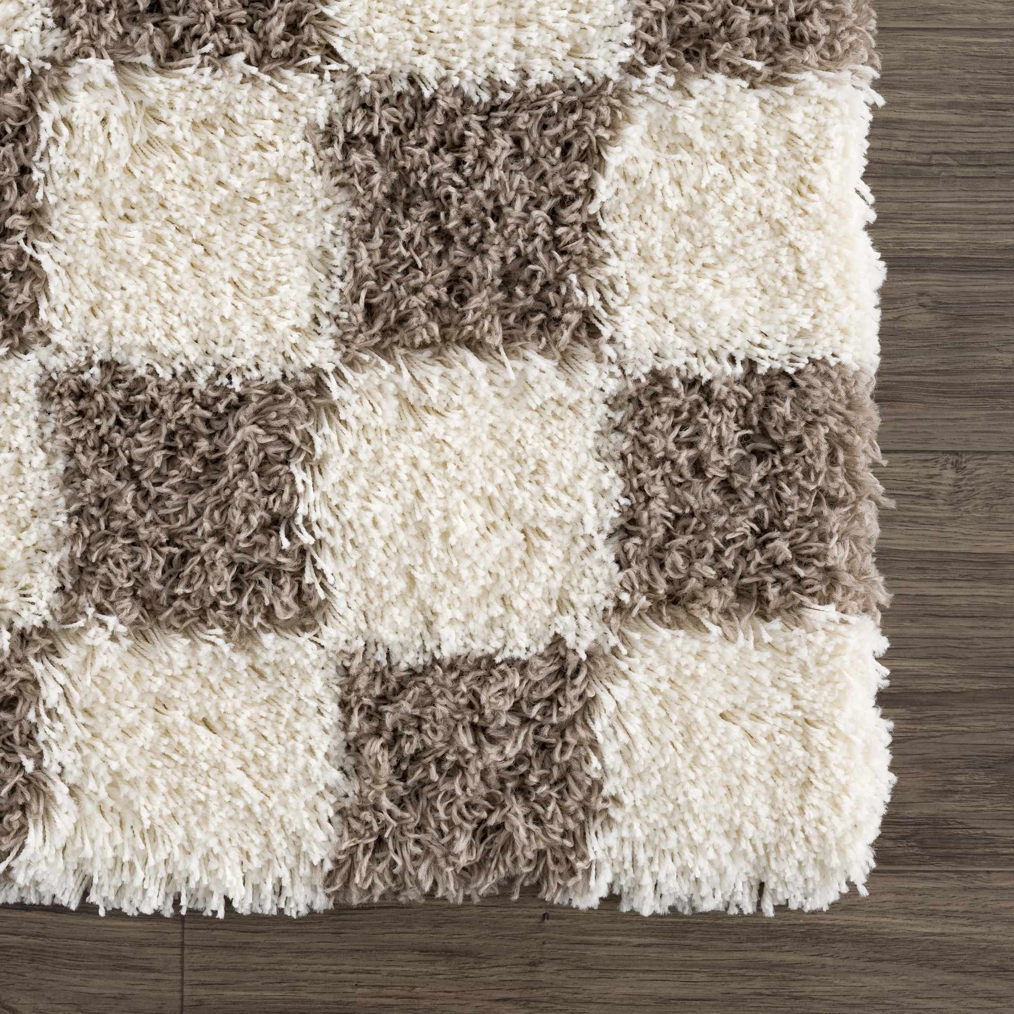 Atira Brown Checkered Area Rug - Image 12