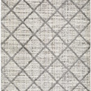 Anuhea Off White Area Rug