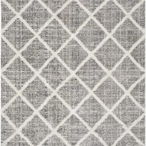 Anuhea Light Gray Area Rug