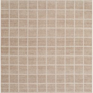 Anicet Checkered Washable Wool Area Rug