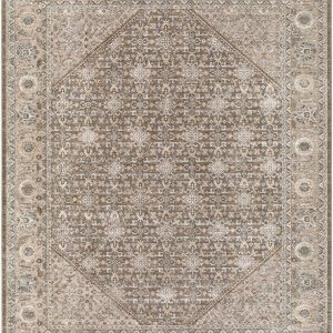 Somei Gray Medallion Traditional Area Rug