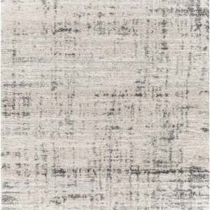 Calsib Area Rug