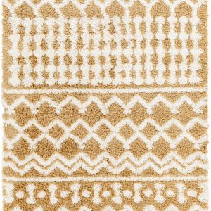 Evely Shag Area Rug