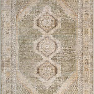 Elinor Taupe Oushak Area Rug