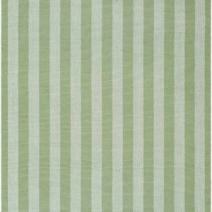 Carpeneto Green Striped Outdoor Area Rug