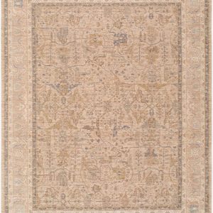 Danail Beige Traditional Area Rug
