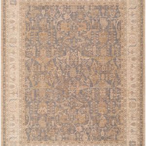 Danail Gray Traditional Area Rug