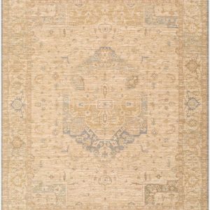 Huanca Brown Traditional Area Rug