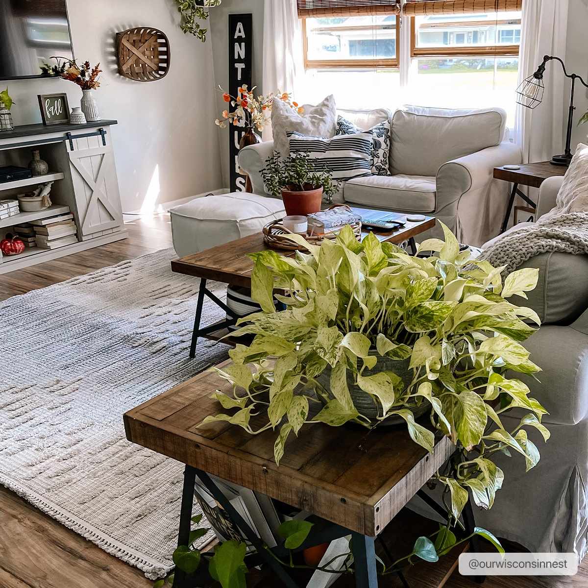 Poydras High-Low Rustic Rug - Image 4