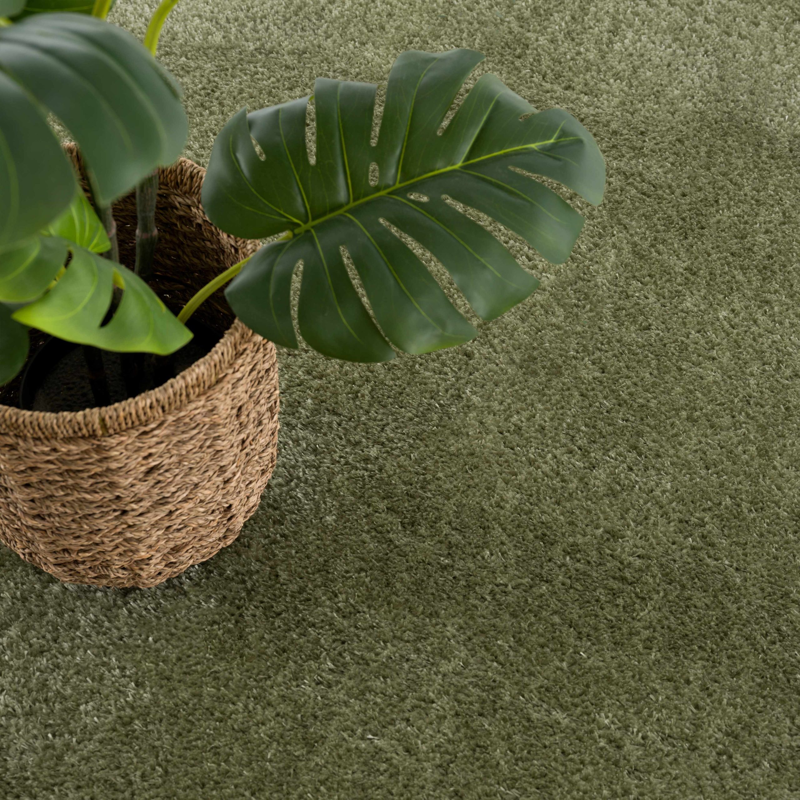 Heavenly Solid Green Plush Rug - Clearance - Image 10