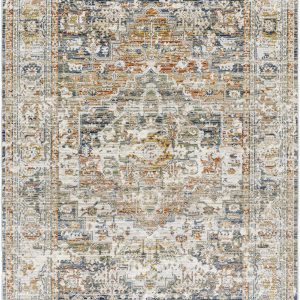 Kazou Blue Medallion Area Rug