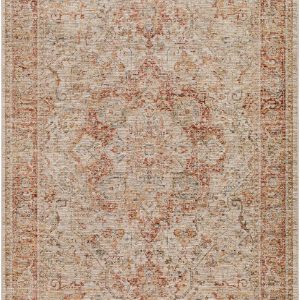 Cress Rust Rich Textured Traditional Rug