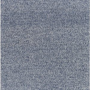 Alyra Blue Solid Area Rug