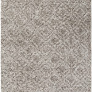 Amnon Area Rug