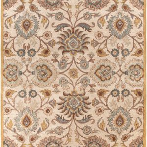 Conesus Hand Tufted Tan 1012 Area Rug