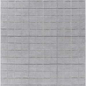 Toshi Sterling Gray Area Rug