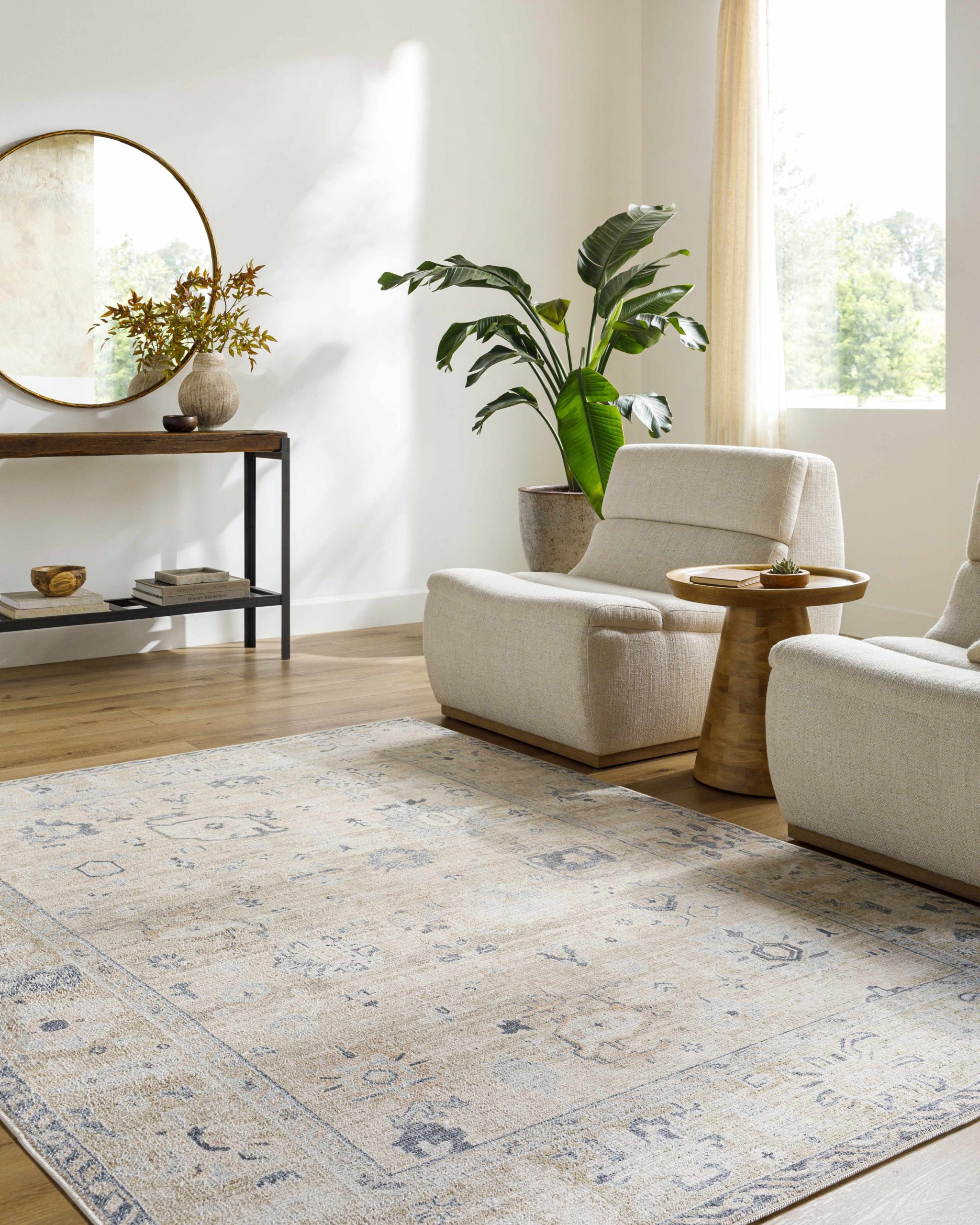 Toddy Area Rug - Image 2